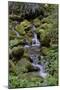 Japanese Gardens II-Brian Moore-Mounted Photographic Print