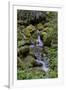 Japanese Gardens II-Brian Moore-Framed Photographic Print