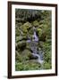 Japanese Gardens II-Brian Moore-Framed Photographic Print