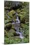 Japanese Gardens II-Brian Moore-Mounted Photographic Print