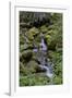 Japanese Gardens II-Brian Moore-Framed Photographic Print