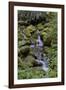 Japanese Gardens II-Brian Moore-Framed Photographic Print