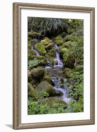 Japanese Gardens II-Brian Moore-Framed Photographic Print