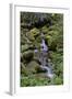 Japanese Gardens II-Brian Moore-Framed Photographic Print