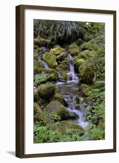 Japanese Gardens II-Brian Moore-Framed Photographic Print