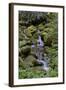 Japanese Gardens II-Brian Moore-Framed Photographic Print