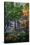 Japanese Gardens III-Brian Moore-Stretched Canvas