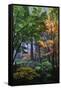 Japanese Gardens III-Brian Moore-Framed Stretched Canvas