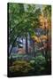 Japanese Gardens III-Brian Moore-Stretched Canvas