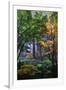 Japanese Gardens III-Brian Moore-Framed Photographic Print