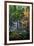 Japanese Gardens III-Brian Moore-Framed Photographic Print