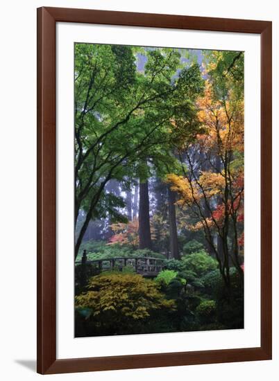 Japanese Gardens III-Brian Moore-Framed Photographic Print