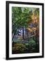 Japanese Gardens III-Brian Moore-Framed Photographic Print