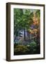 Japanese Gardens III-Brian Moore-Framed Photographic Print