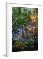 Japanese Gardens III-Brian Moore-Framed Photographic Print