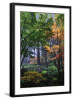 Japanese Gardens III-Brian Moore-Framed Photographic Print