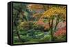 Japanese Gardens in autumn in Portland, Oregon, USA-Chuck Haney-Framed Stretched Canvas