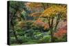 Japanese Gardens in autumn in Portland, Oregon, USA-Chuck Haney-Stretched Canvas