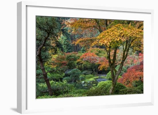 Japanese Gardens in autumn in Portland, Oregon, USA-Chuck Haney-Framed Photographic Print
