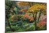 Japanese Gardens in autumn in Portland, Oregon, USA-Chuck Haney-Mounted Photographic Print