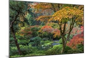 Japanese Gardens in autumn in Portland, Oregon, USA-Chuck Haney-Mounted Photographic Print