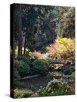 Japanese Gardens in Washington Park, Portland, Oregon, USA-Janis Miglavs-Stretched Canvas