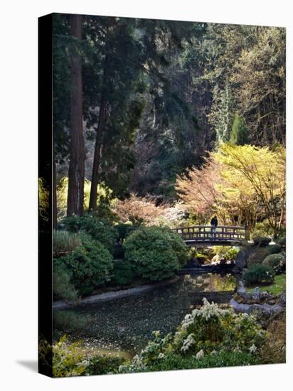 Japanese Gardens in Washington Park, Portland, Oregon, USA-Janis Miglavs-Stretched Canvas