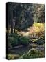 Japanese Gardens in Washington Park, Portland, Oregon, USA-Janis Miglavs-Stretched Canvas
