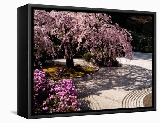 Japanese Gardens in Washington Park, Portland, Oregon, USA-Janis Miglavs-Framed Stretched Canvas