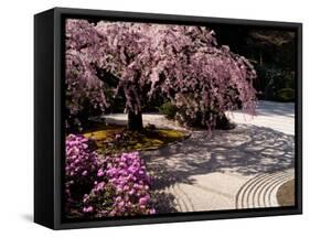 Japanese Gardens in Washington Park, Portland, Oregon, USA-Janis Miglavs-Framed Stretched Canvas