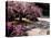 Japanese Gardens in Washington Park, Portland, Oregon, USA-Janis Miglavs-Stretched Canvas