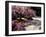 Japanese Gardens in Washington Park, Portland, Oregon, USA-Janis Miglavs-Framed Premium Photographic Print