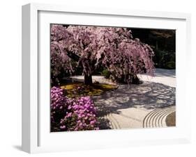 Japanese Gardens in Washington Park, Portland, Oregon, USA-Janis Miglavs-Framed Premium Photographic Print