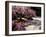 Japanese Gardens in Washington Park, Portland, Oregon, USA-Janis Miglavs-Framed Photographic Print