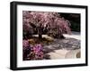 Japanese Gardens in Washington Park, Portland, Oregon, USA-Janis Miglavs-Framed Photographic Print