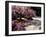 Japanese Gardens in Washington Park, Portland, Oregon, USA-Janis Miglavs-Framed Photographic Print