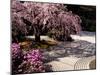 Japanese Gardens in Washington Park, Portland, Oregon, USA-Janis Miglavs-Mounted Photographic Print