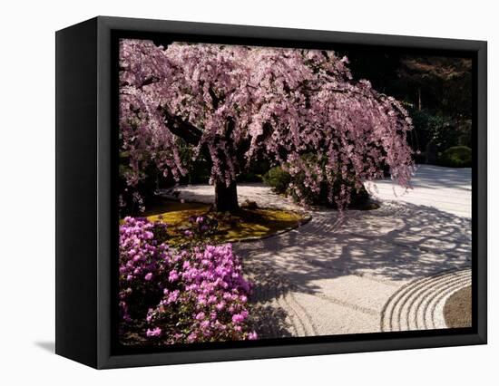 Japanese Gardens in Washington Park, Portland, Oregon, USA-Janis Miglavs-Framed Stretched Canvas