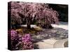 Japanese Gardens in Washington Park, Portland, Oregon, USA-Janis Miglavs-Stretched Canvas