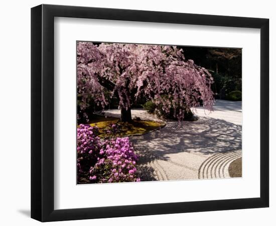 Japanese Gardens in Washington Park, Portland, Oregon, USA-Janis Miglavs-Framed Photographic Print