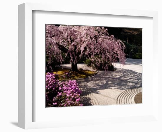 Japanese Gardens in Washington Park, Portland, Oregon, USA-Janis Miglavs-Framed Photographic Print