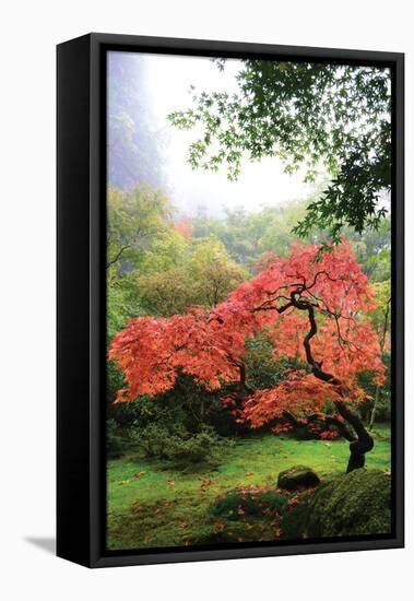 Japanese Gardens IV-Brian Moore-Framed Stretched Canvas