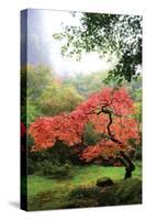 Japanese Gardens IV-Brian Moore-Stretched Canvas