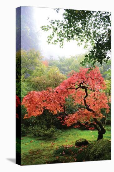 Japanese Gardens IV-Brian Moore-Stretched Canvas