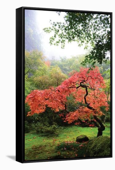 Japanese Gardens IV-Brian Moore-Framed Stretched Canvas