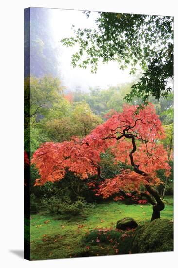 Japanese Gardens IV-Brian Moore-Stretched Canvas