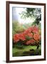 Japanese Gardens IV-Brian Moore-Framed Photographic Print