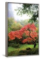 Japanese Gardens IV-Brian Moore-Framed Photographic Print