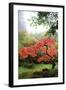 Japanese Gardens IV-Brian Moore-Framed Photographic Print