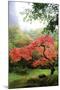 Japanese Gardens IV-Brian Moore-Mounted Photographic Print